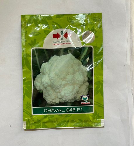 Cauliflower hybrid seeds Dhaval 043, Shelf Life : 9 Month