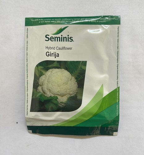 Cauliflower hybrid seeds Seminis Girija, Shelf Life : 9 Month
