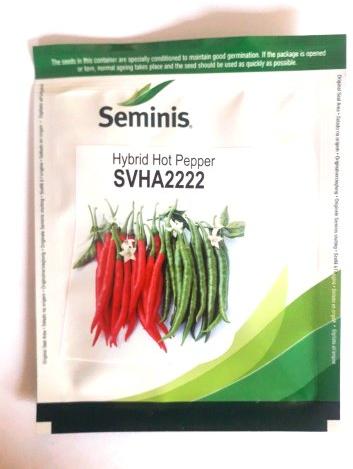 Chilly Seminis SVHA2222