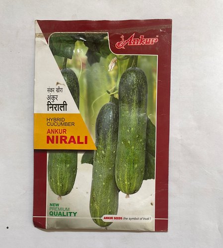  Cucumber Seeds Ankur Nirali, Shelf Life : 9 MONTH