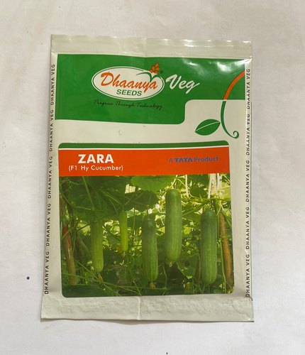cucumber Seeds dhaanya zara