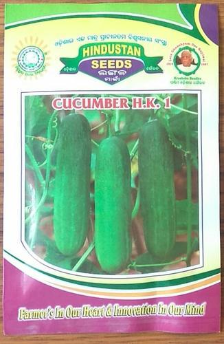 Cucumber Hk, Shelf Life : 9 MONTH