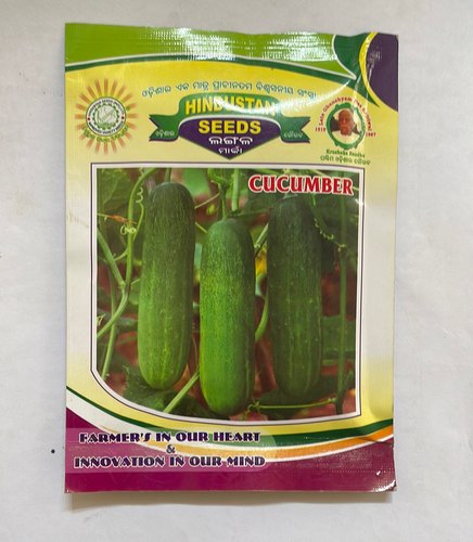  Cucumber Khira seeds, Shelf Life : 9 MONTH