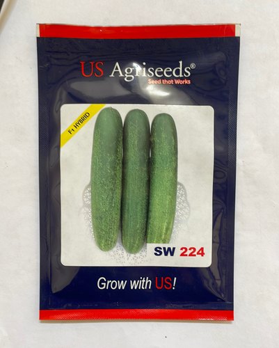 Cucumber sw 224 hybrid seed, Shelf Life : 9 Month