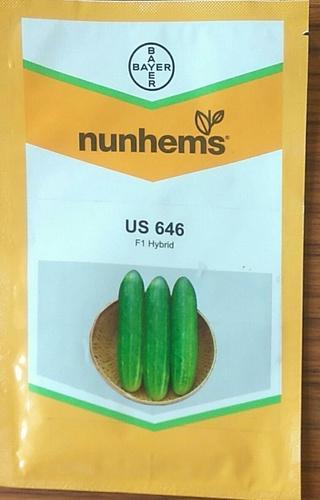  cucumber us 646 seeds, Packaging Size : 10GM