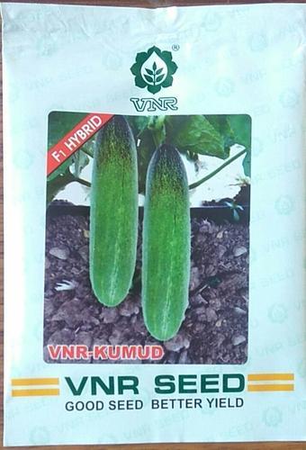  cucumber vnr kumud seeds, Shelf Life : 9 Month
