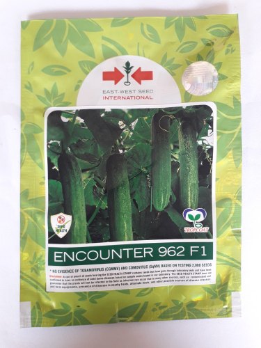 Encounter 9620f1 Hybrid Cucumber Seeds, Packaging Size : 10 GM