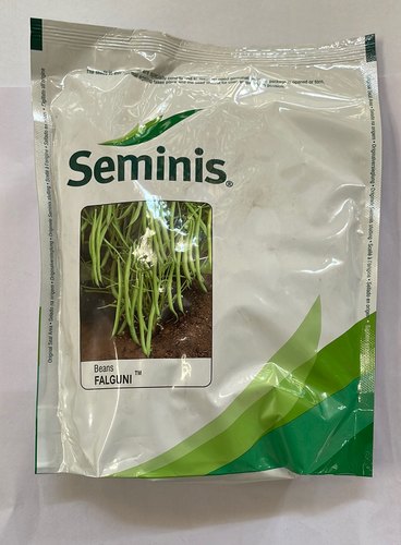  Natural French Beans seed Seminis-Falguni, Packaging Type : POLY POUCH