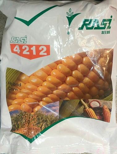 Maize Corn RASI 4212 Hybrid Seeds