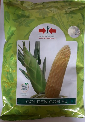 Maize Sweet Corn seeds East-West_Golden_COB_F1, Color : Yellow