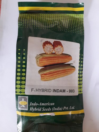 Natural Sweet corn Indam 003, Packaging Type : POLY POUCH
