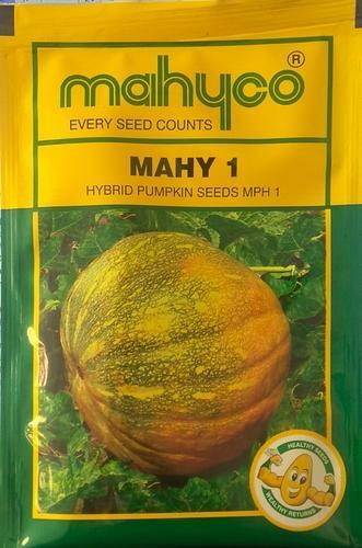 Pumpkin mahyco mahy 1, Shelf Life : 9 Month