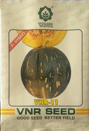 Natural pumpkin vnr 11 seeds, Shelf Life : 9 Month