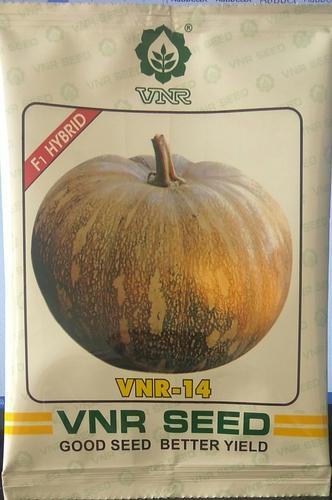 pumpkin vnr seeds 14