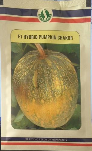 Natural pumpkin chokar seeds, Shelf Life : 9 MONTH