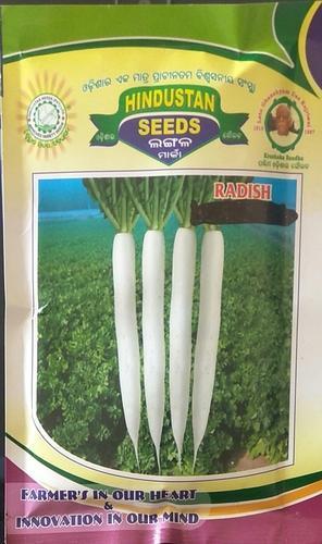  Natural Radish Seeds Radish JW, Shelf Life : 9 Month