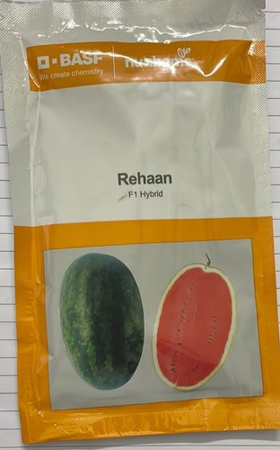 Natural Agriculture Rehaan Watermelon Seeds, Style : Fresh