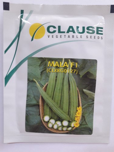 Clause mala f1 ridge gourd seed, Packaging Type : POLY POUCH