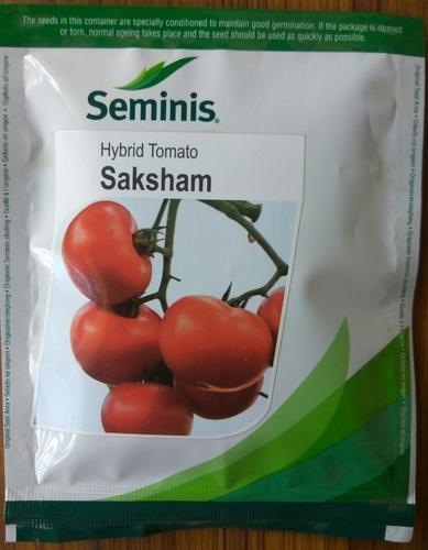 Natural Tomato saksham seeds, Packaging Type : POLY POUCH