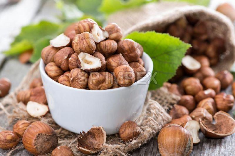 organic-hazelnut-kernels-by-sp-impex-from-chennai-tamil-nadu-id-4943866