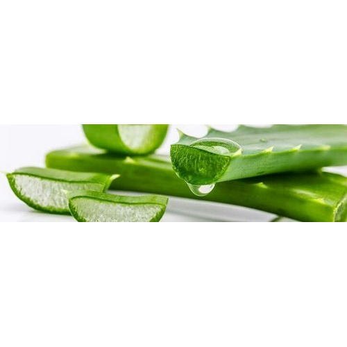 Elexirs Overseas Aloe Vera Extract, Packaging Type : Packet