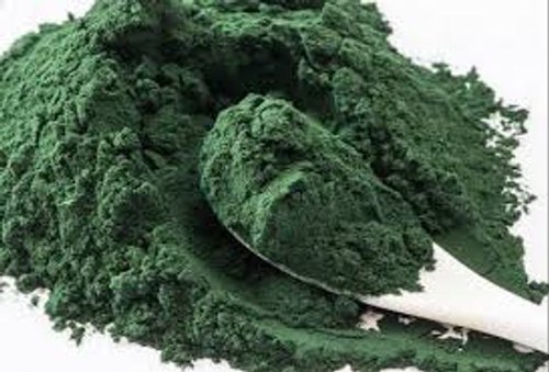 Chlorella Extract Powder, Packaging Type : Plastic Bag