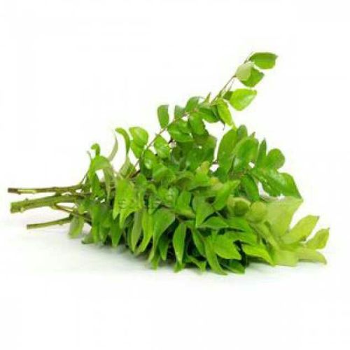 Natural Dried Curry Leaves, for Cooking, Certification : FSSAI Certified