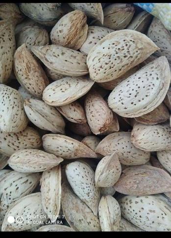 Paper Shell Almonds, Certification : FSSAI