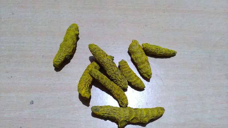 Dried Megha Turmeric Finger