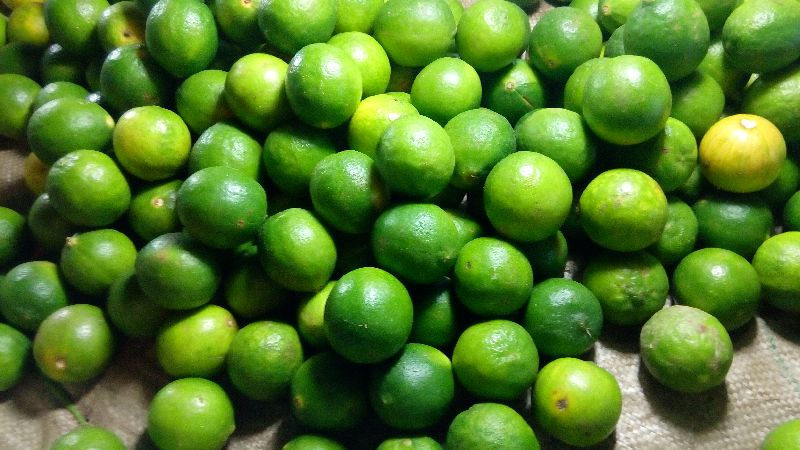 Organic Fresh Green Lime