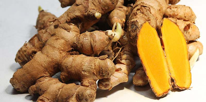 Fresh Lakadong Turmeric Finger