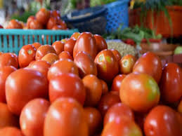 Organic Fresh Red Tomato