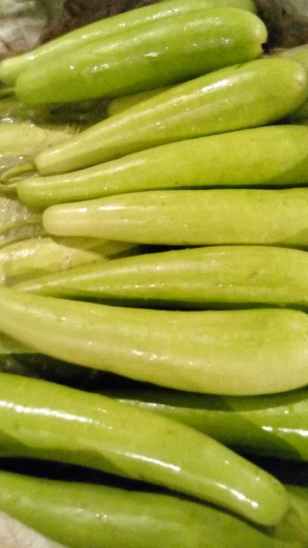 Fresh White Long Bottle Gourd