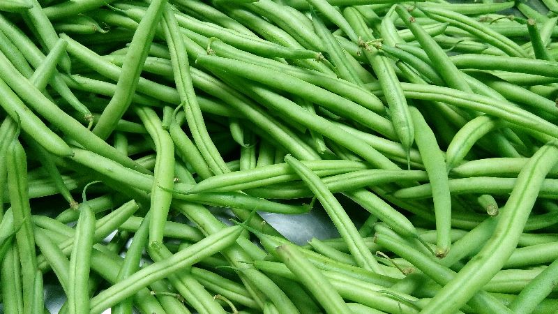 Green Pencil Beans