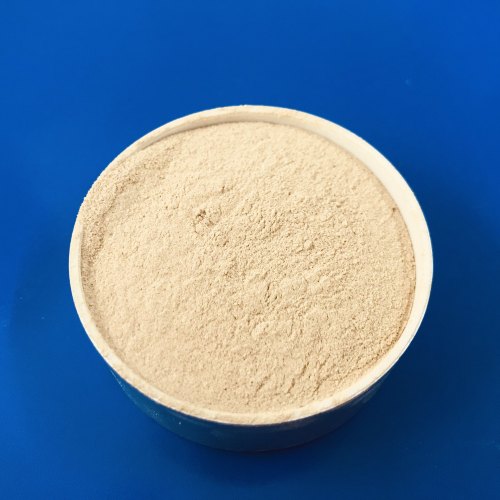 Glucose Oxidase Powder