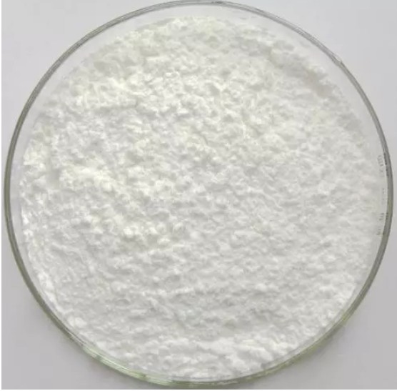Salinomycin Powder