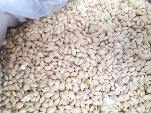 Nimbu Seed, Packaging Type : 1kg
