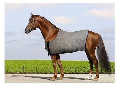 Cooling Horse Blanket