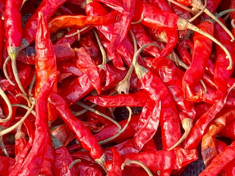 Dried Red Chilli, Color : 70