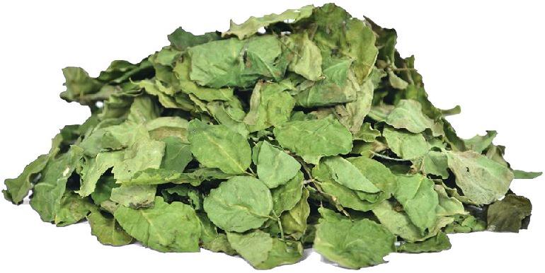 Moringa Dry Leaves, for Cooking, Feature : Exceptional Purity, Good Quality, Highly Effective, Insect Free