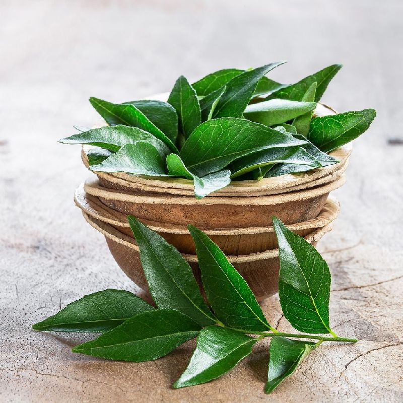 curry leaves