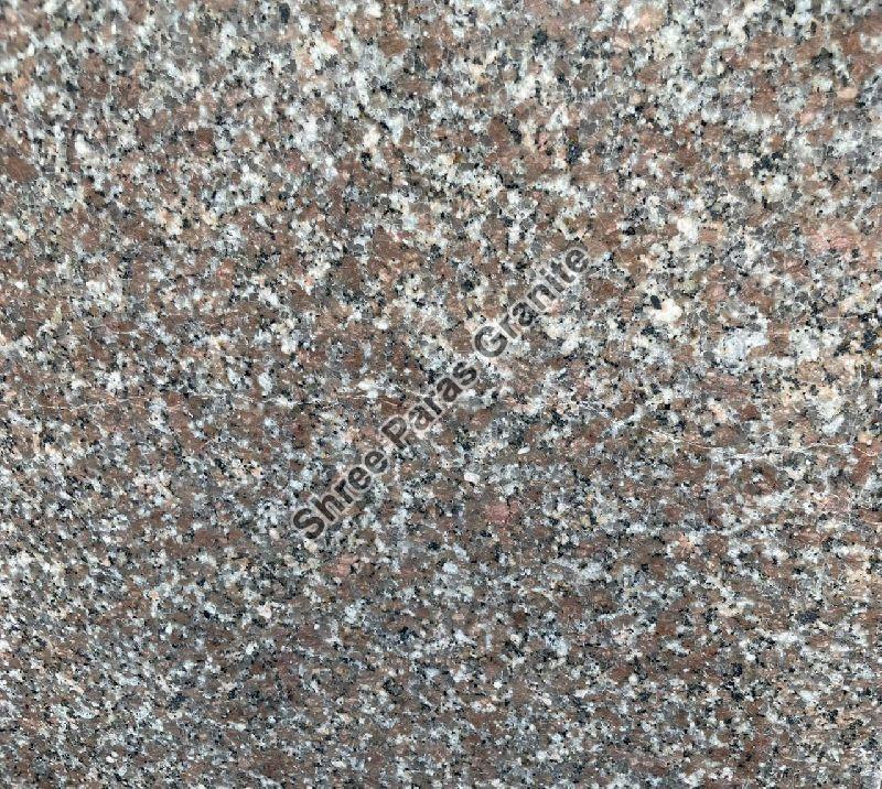 Rectangular Polished Chima Granite