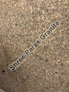 Shree Paras Desert Brown Granite, Size : 12x16ft, 18x18ft, 24x24ft