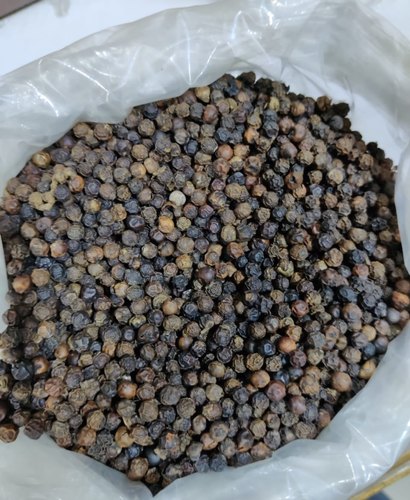 Black Pepper Seeds