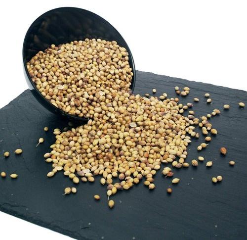 Coriander seeds, Packaging Type : Loose