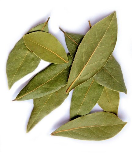 Organic Bay Leaf, Packaging Type : Loose