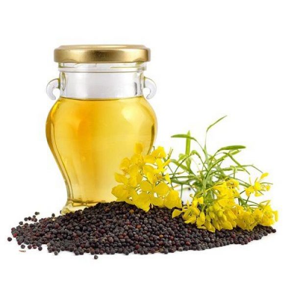 Organic refined rapeseed oil, for Cooking, Feature : Low Cholestrol