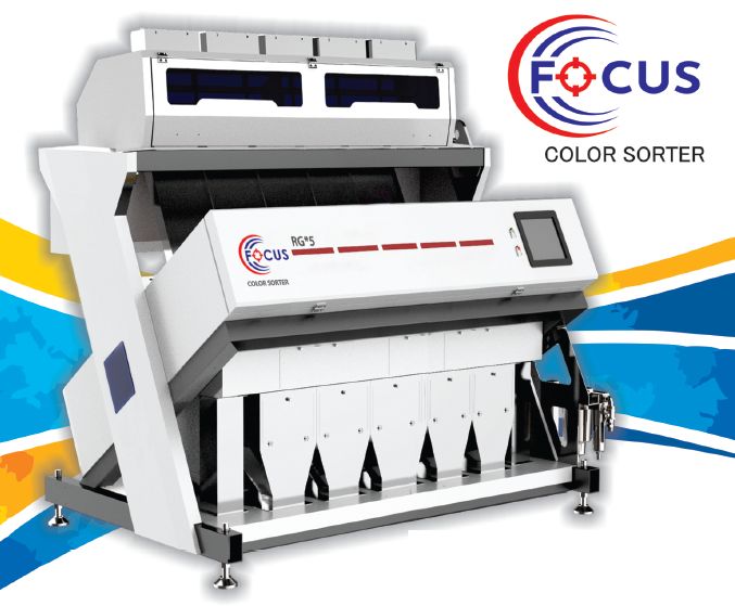 Focus Electric 1000-2000kg RGB Color Sorter Machine, for Industrial Use