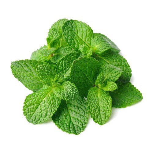 Organic Fresh Mint Leaves, for Cooking, Color : Green