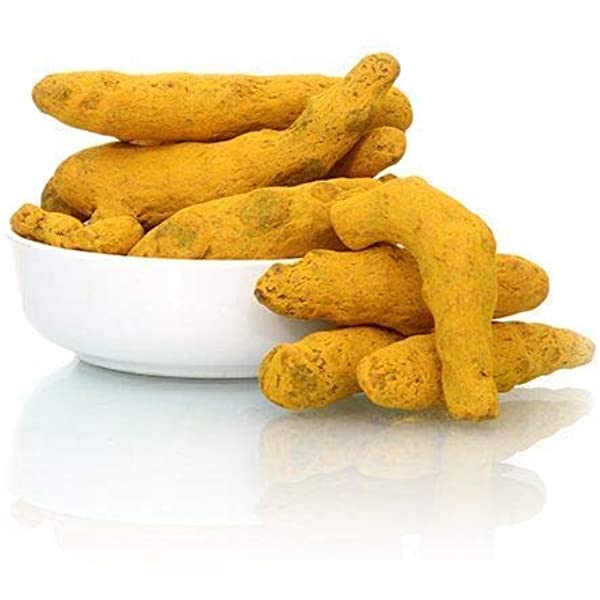 Turmeric finger, Style : Dried